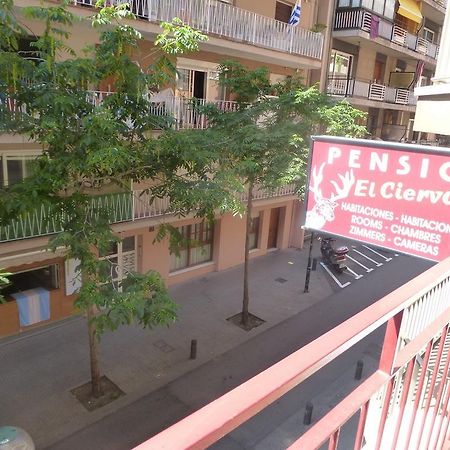 Pension El Ciervo Lloret de Mar Dış mekan fotoğraf